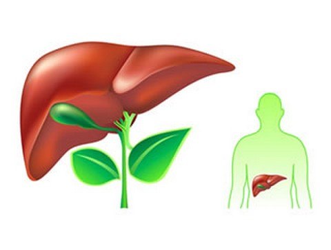 Livsin 94 thuốc mát gan giải độc trị mụn tốt nhất hiện nay